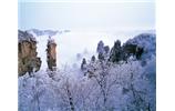 春節(jié)旅游：張家界、袁家界、天子山、寶峰湖/黃龍洞度假二晚三日游